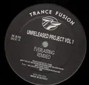 12'' - Unreleased Project - Vol 1 - Everlasting (Remixed)
