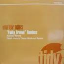 12inch Vinyl Single - Untidy Dubs - 'Funky Groove' Remixes