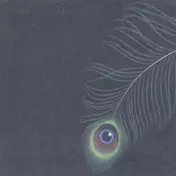 Unwed Sailor - CIRCLES/THE WHITE OX