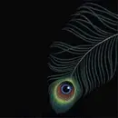 CD - Unwed Sailor - Circles - digipak