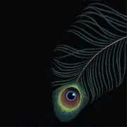 CD - Unwed Sailor - Circles - digipak