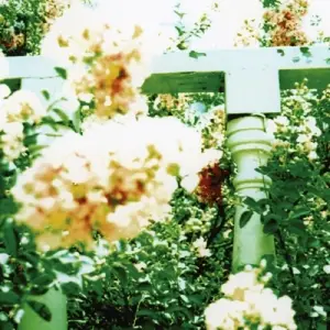 UNWED SAILOR - Little Wars
