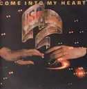 LP - USA-European Connection - Come Into My Heart