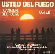 7inch Vinyl Single - Usted Del Fuego - Cancion Del Fuego / Usted