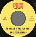 7inch Vinyl Single - Up With People Volunteers / The Colwell Brothers - Is There A Reason Why / Jacks