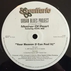 urban blues project - Your Heaven (I Can Feel It)