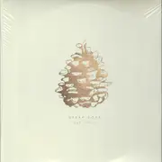 LP - Urban Cone - Our Youth - HQ-Vinyl LIMITED