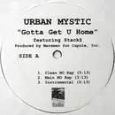 12inch Vinyl Single - Urban Mystic - Gotta Get U Home