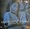 12inch Vinyl Single - Urban South - Whatever's Clever