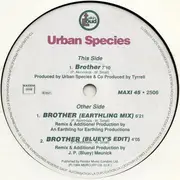 12inch Vinyl Single - Urban Species - Brother
