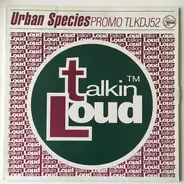 Urban Species - The Experience