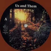 10'' - Us & Them - Fading Within The Dwindling Sun - orange vinyl