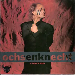 Uwe Ochsenknecht - If I Had A Wish