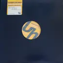 12inch Vinyl Single - Utada Hikaru - Automatic / Time Will Tell