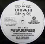 12inch Vinyl Single - Utah Saints - What Can You Do For Me (Transformer Remix)