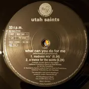 12inch Vinyl Single - Utah Saints - Believe In Me