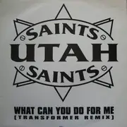 12inch Vinyl Single - Utah Saints - What Can You Do For Me (Transformer Remix)