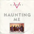 7inch Vinyl Single - V Capri - Haunting Me
