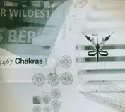 Chakras