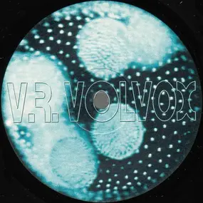 V.R. Volvox - TAHUTI