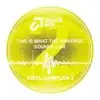 12'' - V/A - THIS IS WHAT THE UNIVERSE SOUNDS LIKE VOL. 2 - .. UNIVERSE SOUNDS LIKE