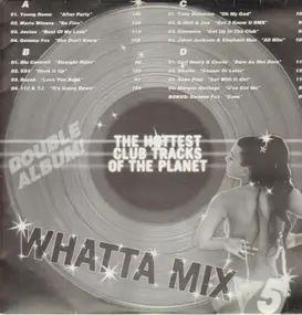 Sean Paul - Whatta Mix 5