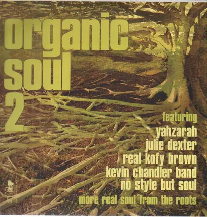 YahZarah, Julie Dexter a.o. - Organic Soul 2
