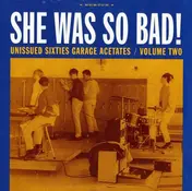 The Briks - She Was So Bad: Vol.2