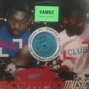 12inch Vinyl Single - Vamoz - In The Summer