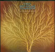 Van Der Graaf Generator - Still Life