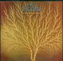 LP - Van Der Graaf Generator - Still Life - Original
