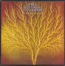 LP - Van Der Graaf Generator - Still Life