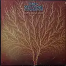 LP - Van Der Graaf Generator - Still Life
