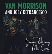 Double LP - Van Morrison And Joey DeFrancesco - You're Driving Me Crazy