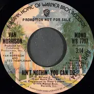 Van Morrison - Ain't Nothin' You Can Do