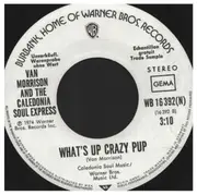 7inch Vinyl Single - Van Morrison & The Caledonia Soul Express - Caledonia - German Promo