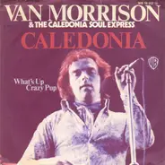 Van Morrison & The Caledonia Soul Express - Caledonia