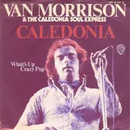 Van Morrison - Caledonia