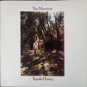 Double LP - Van Morrison - 2 Originals Of Van Morrison