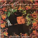 LP - Van Morrison - A Sense Of Wonder