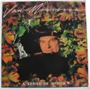 LP - Van Morrison - A Sense Of Wonder