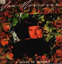 LP - Van Morrison - A Sense Of Wonder