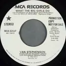 7inch Vinyl Single - Van Stephenson - What The Big Girls Do
