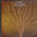 LP - Van Der Graaf Generator - Still Life