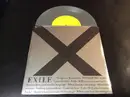 7inch Vinyl Single - Vanishing Life - Exile b/w Forgiven/Forgotten - metallic silver pressing + download code