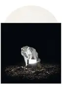 LP - Vanishing Life - Surveillance - White vinyl, Booklet