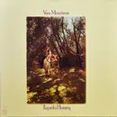 LP - Van Morrison - Tupelo Honey