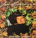 LP - Van Morrison - A Sense Of Wonder