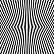 The Vacant Lots - Damage Control