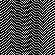 The Vacant Lots - Exit